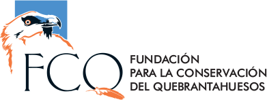 FCQ Logo