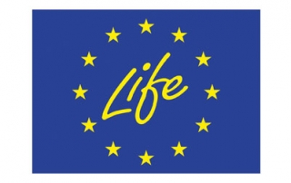 Life logo