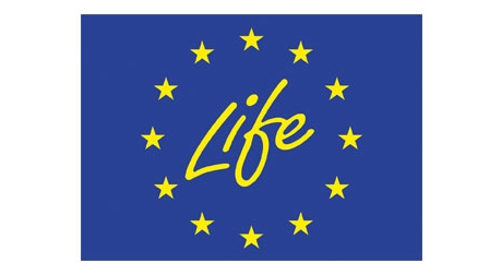 Life logo