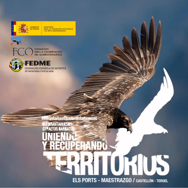 Premio Federación Española de Municipios y Provincias (FEMP)