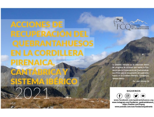 Programa de acciones de Conservación del Quebrantahuesos en la Cordillera pirenaica, cantábrica y sistema ibérico 2021.