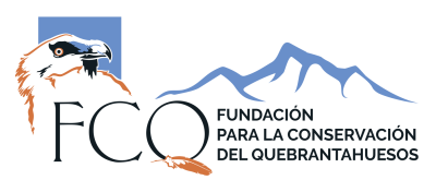 Logotipo FCQ