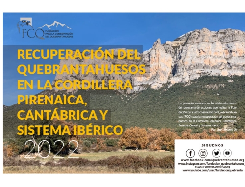 Programa de acciones de Conservación del Quebrantahuesos en la Cordillera pirenaica, cantábrica y sistema central e ibérico 2022.