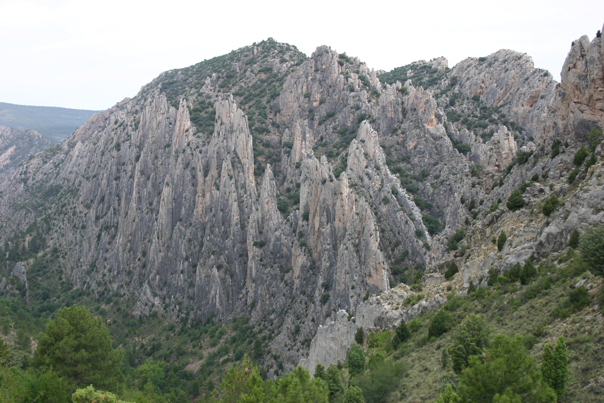 Reintroducción suspendida