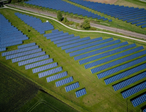 Alegaciones al proyecto fotovoltaico Avejaruco Solar de 49,984 MW” en La Puebla de Castro y Secastilla (Huesca).