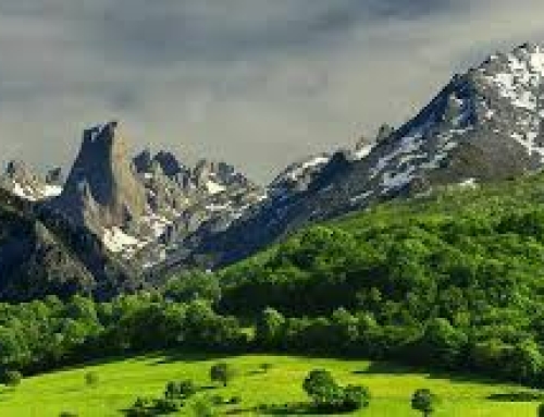 Asturias, Paraíso del turismo de observación.