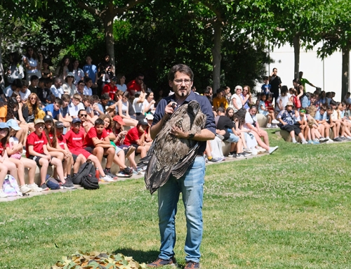 El Parque de las Ciencias ha celebrado el Día Mundial del Medioambiente con una actividad de concienciación sobre la cría y suelta del ave extinta en Andalucía desde 1986.