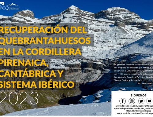 Programa de acciones de Conservación del Quebrantahuesos en la Cordillera pirenaica, cantábrica y sistema central e ibérico 2023.