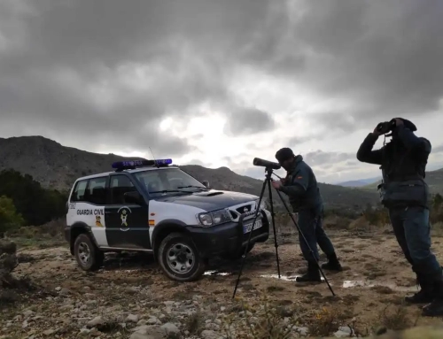 Investigan en Nerpio la muerte a tiros de un quebrantahuesos.