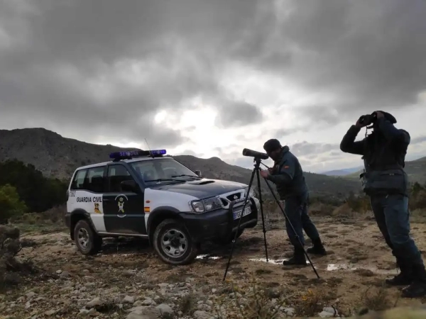 The shooting death of a bearded vulture is investigated in Nerpio.