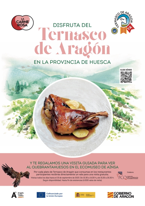 Eating a plate of Ternasco de Aragón has a tourist prize.