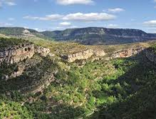 El impacto de los 125 aerogeneradores del Clúster del Maestrazgo: tala de árboles, peligro para la fauna o daños en la Red Natura 2000.