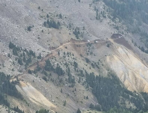 La destrucción del hábitat del urogallo en los Pirineos, financiada con fondos para su conservación.