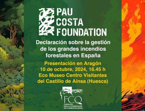 Presentación en Aragón de la «Declaración sobre la gestión de los grandes incendios forestales en España»