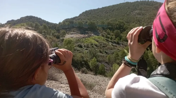 Among the birds, through the Sierra de Partara.