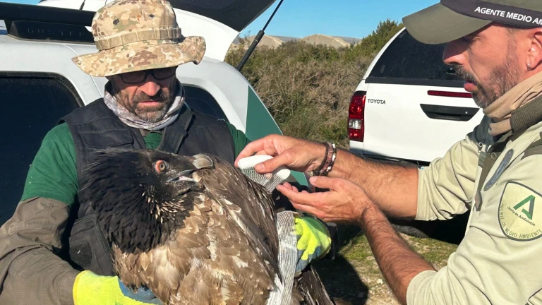 Entre las aves, por la Sierra de Partara.