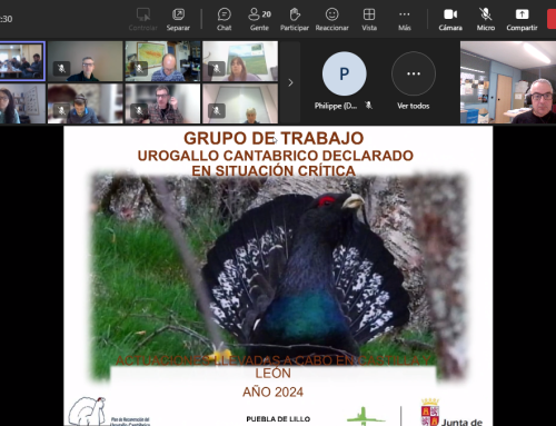 Reunión del Grupo de Trabajo del Urogallo España.