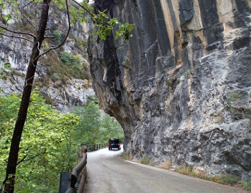 Alegaciones FCQ proyecto acondicionamiento acceso al espacio natural de la cabecera del Ara en el Término Municipal Torla-Ordesa (Huesca).