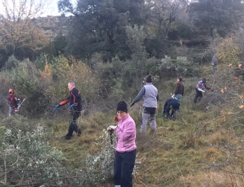 Los montes de Aínsa son escenario de un proyecto piloto para prevenir incendios.