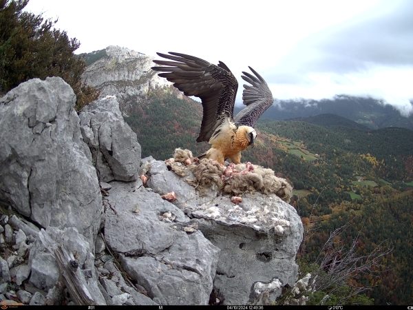 Apoyo del Ministerio para la Transición Ecológica y Reto Demográfico al III sector ambiental.