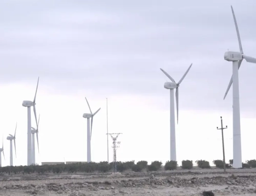 Alegaciones parques eólicos de Graitas y Media Villa en Epila y Ricla