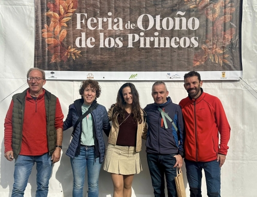 Éxito de la feria de Aínsa: trampas para avispas invasoras y sin gallinas por la gripe aviar.