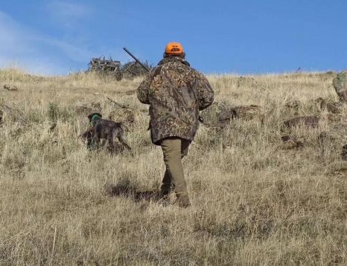 Sugerencias Plan de Caza Aragón 2026-2027