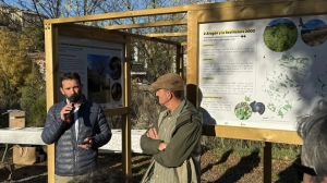 Entre las aves, por la Sierra de Partara.