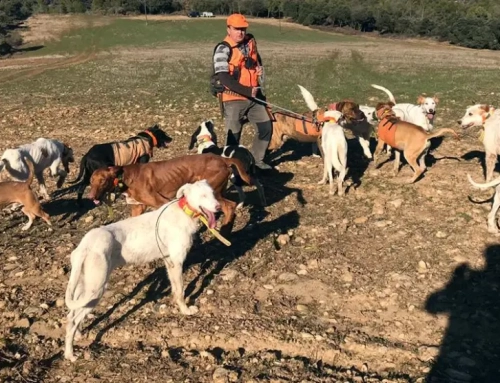 Polémica por el Plan de Caza que prohíbe el paso en zona de batida.