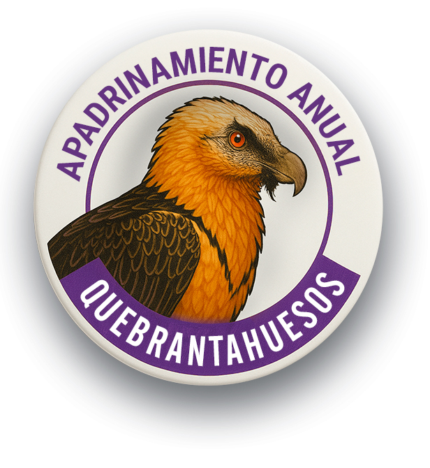 Apadrinamiento Anual