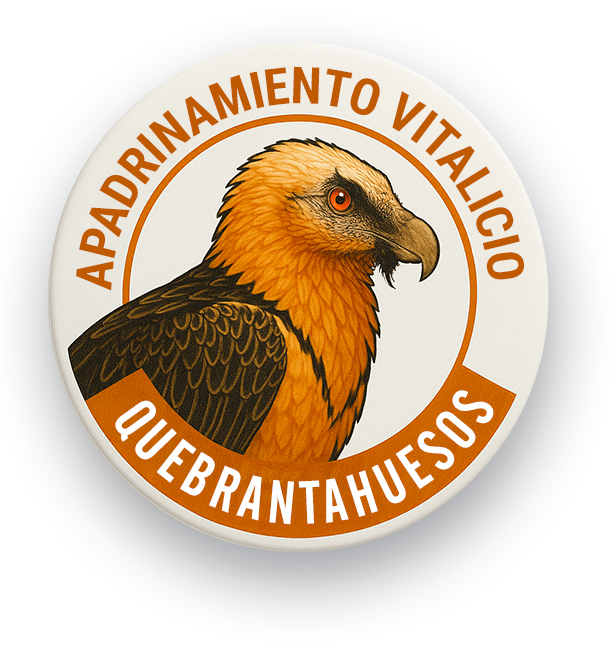 Apadrinamiento Vitalicio