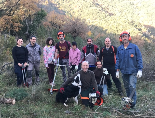 Bio For Piri cierra con éxito dos años de trabajo en red: el proyecto que hace de los bosques un motor de futuro en los Pirineos