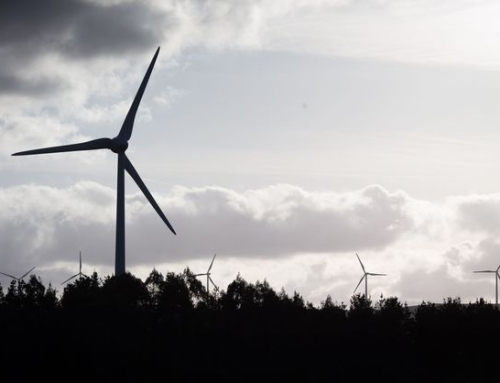 El uso de GPS en especies silvestres ayuda a planificar el despliegue de las renovables.