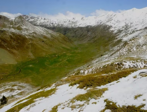 Elena Villagrasa, Pedro Larramona y Fundación para la Conservación del Quebrantahuesos, premios Cruz de Sobrarbe.