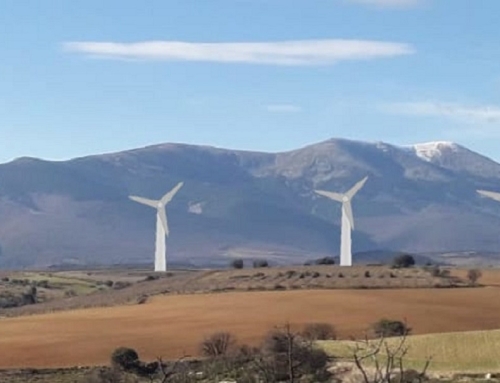 Declaración Impacto Ambiental (DIA) desfavorable del parque eólico Florín (Zaragoza-Moncayo).