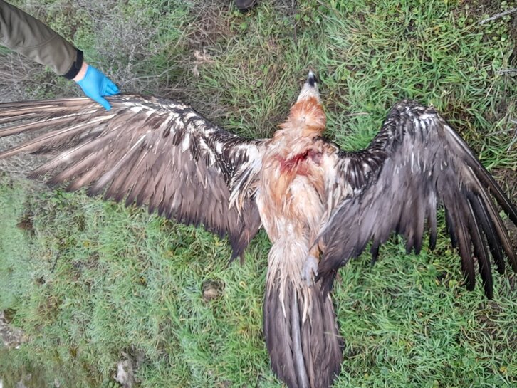 Bio For Piri cierra con éxito 