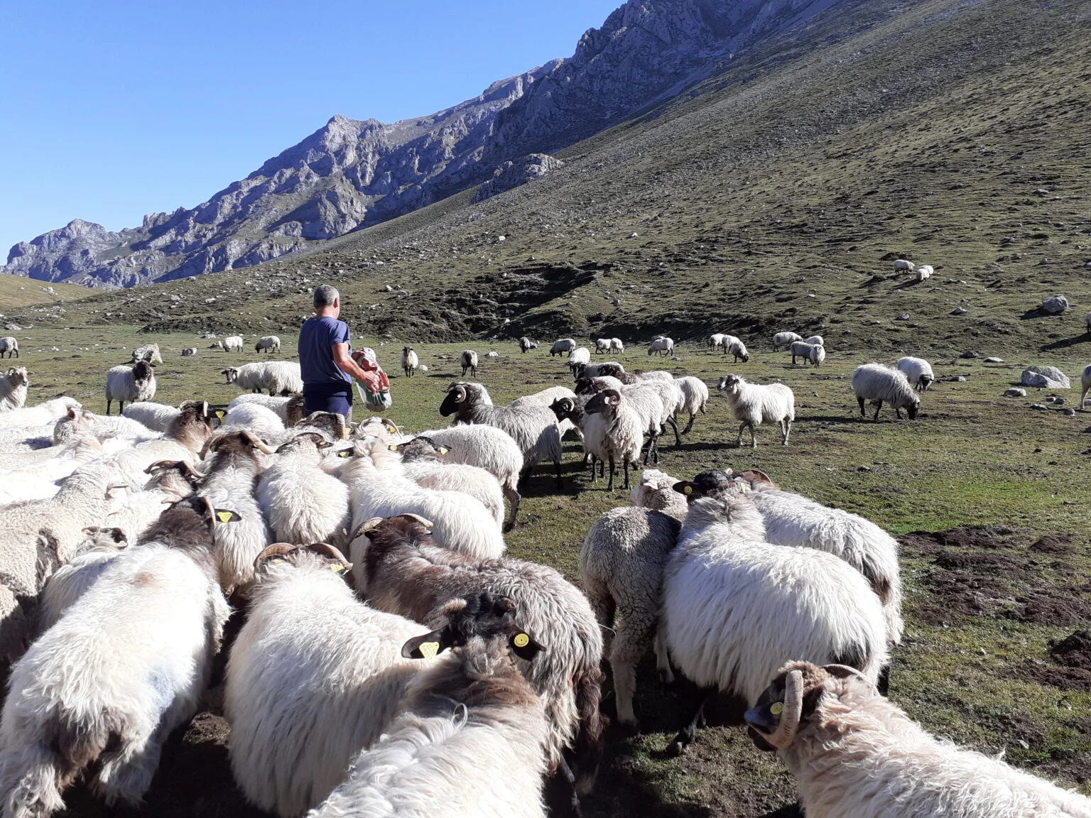 20210917_111232-1536×1152 Bio For Piri cierra con éxito