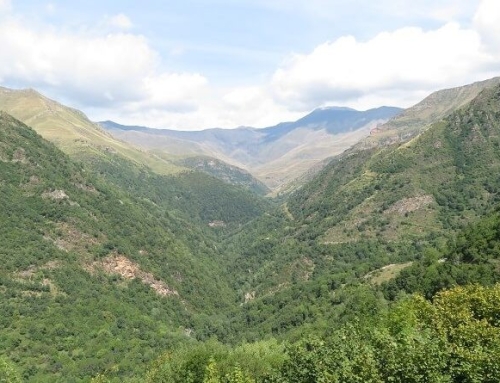 Alegaciones proyecto y del Estudio de Impacto Ambiental variante de Fonchanina y acceso al frente de nieve de Castanesa.