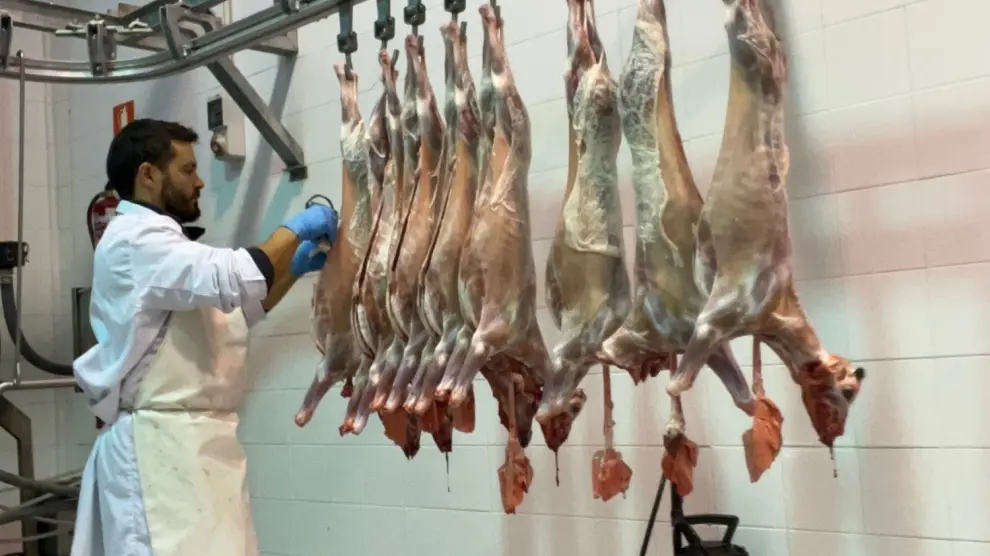 Bio For Piri cierra con éxito 