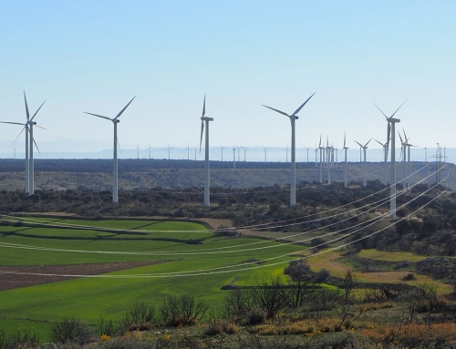 Recurso de Alzada Parque Eólico Los Borjas I