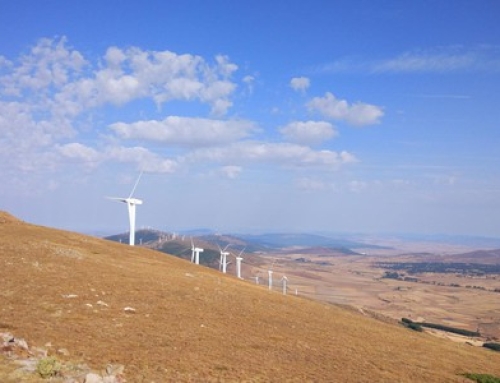 Recurso de Alzada Parque Eólico Ambil Soria
