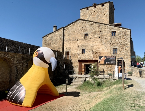 Esta Semana Santa ven hacer Ecoturismo al Pirineo aragonés con la FCQ.