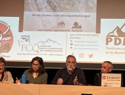 La herida social en Aragón del ‘boom’ renovable.