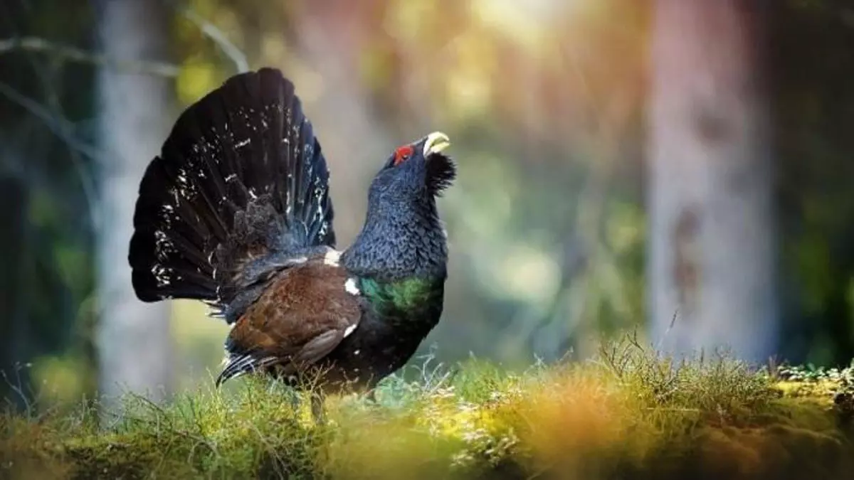 Bio For Piri cierra con éxito 