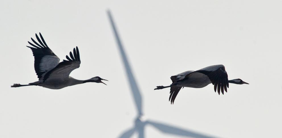 5fa53449c0dd0 Bio For Piri cierra con éxito