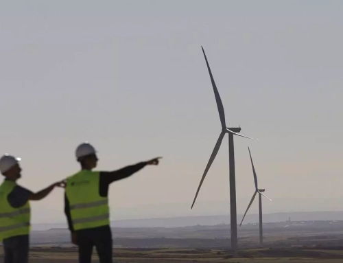 Varias organizaciones ecologistas piden la anulación definitiva del Clúster del Maestrazgo en pleno caso Forestalia.