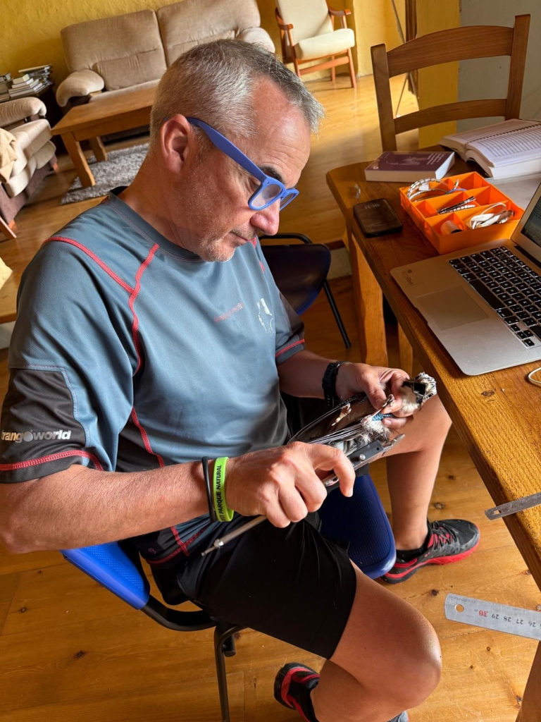 Patas, plumas, pelos y pétalos