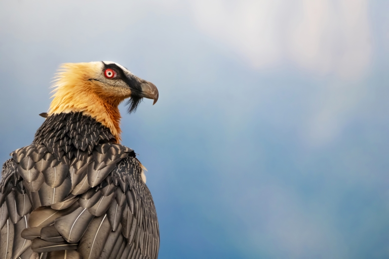 Fotografía de naturaleza