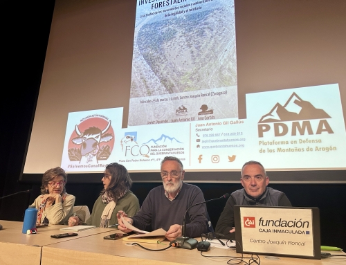 Charla Investigación de los casos Forestalia e Inaga.