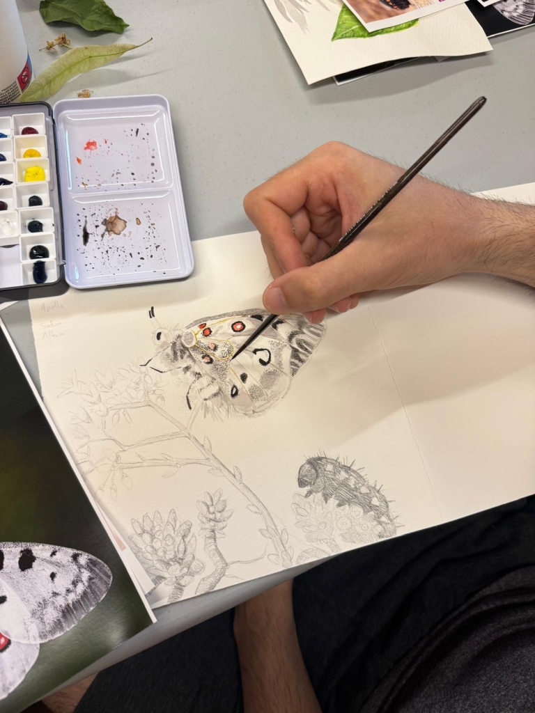 Patas, plumas, pelos y pétalos